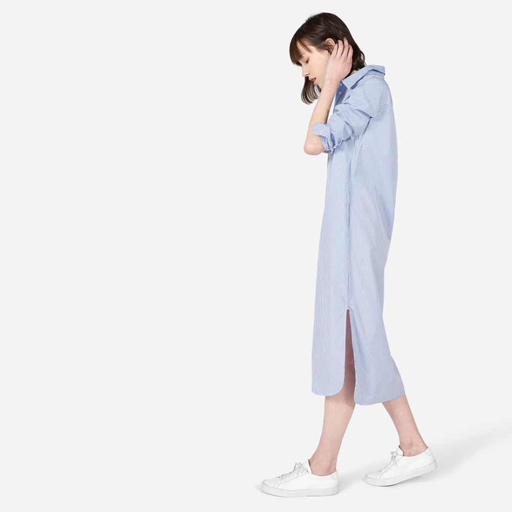 Everlane Blue and White Midi Dress for Effortless Elegance
